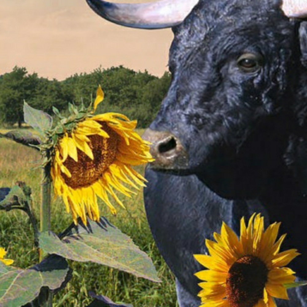 Meet your Posher, Kkay